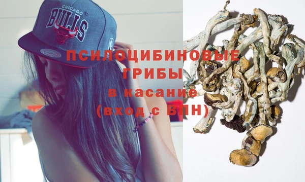 бошки Волоколамск