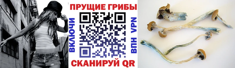 Псилоцибиновые грибы ЛСД  Ачинск 